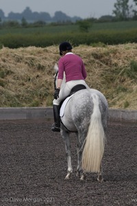 ISIS Dressage Challenge 2008